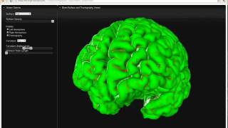 WebGL Brain Surface and Tractography Viewer