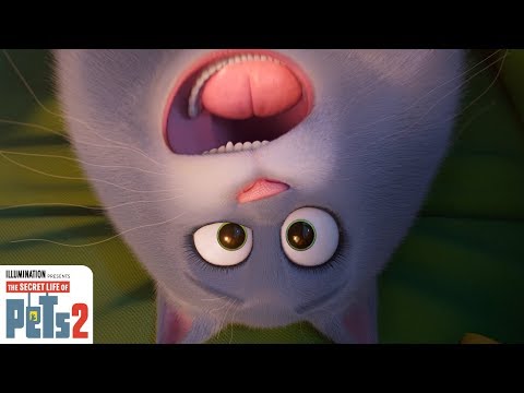 The Secret Life Of Pets 2 - In Theaters June 7 (TV Spot 111) [HD] - The Secret Life Of Pets 2 - In Theaters June 7 (TV Spot 111) [HD]