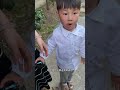 家里的狗又闯祸了😅萌宠周小帅的大狼狗们