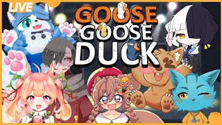 【Goose Goose Duck】人狼苦手な人たちによるぽんダック🐈✨《コラボ配信》