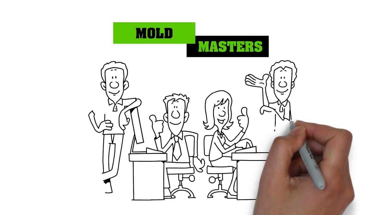Professional Mold Removal | Tampa | Mold Testing in St. Petersburg