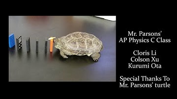 AP Physics C Final Project