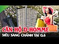 Căn hộ D-Homme Quận 6 DHA Trung Tâm Chợ Lớn Siêu Sang Chảnh - Ping Land