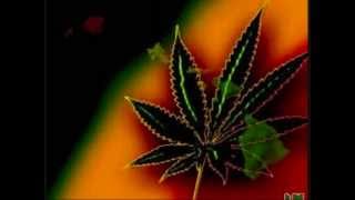 Blazing Kush - Fond Cole Music - 2013