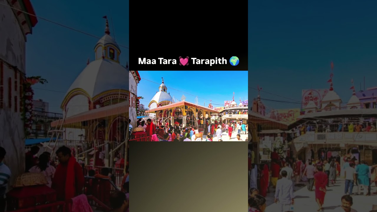 Journey to Peace: First Trip of 2026! 🚂✨ 