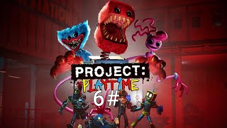 Project playtime 6#