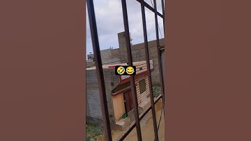 The trend ||Perfect loop#loop #nature #shortsfeed #shorts #shortvideo #trending #youtubeshorts