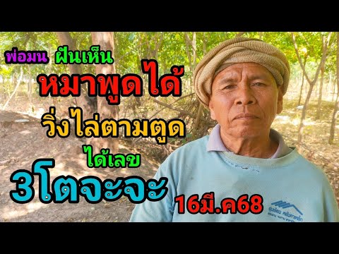#พ่อมน#ฝันเห็นหมาพูดได้วิ่งไล่ตามตูดได้เลข3โตจะจะ16มี.ค68 #พ่อมน#ฝันเห็นหมาพูดได้วิ่งไล่ตามตูดได้เลข3โตจะจะ16มี.ค68
