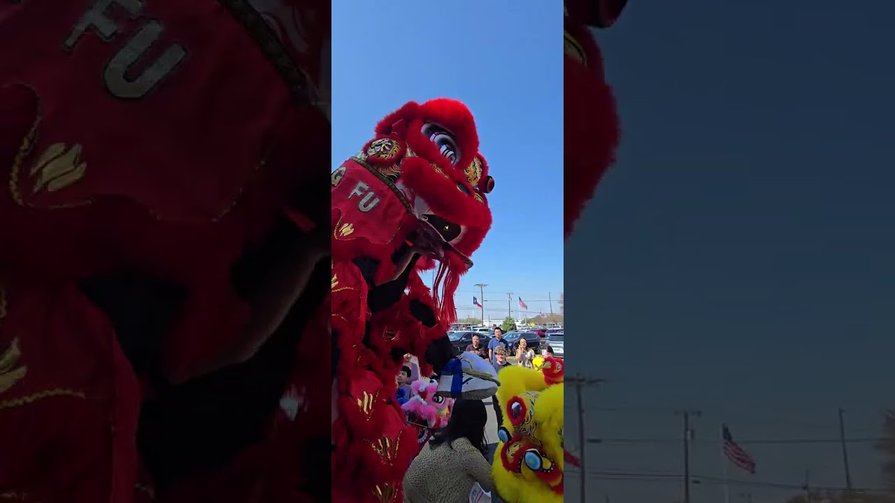 舞狮“采青” #Richardson TX Crunching Tigger Hidden Dragon Grand Opening 2026-02-28