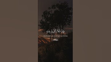 قَالَ رَبِّ نَجِّنِي مِنَ الْقَوْمِ الظَّالِمِينَ 🥺 القارئ ريان المحيسني