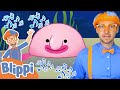 Sea Animals | Educational Songs For Kids