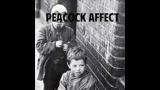 Peacock Affect - Wallflower chords
