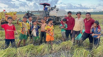 Kỷ niệm đáng nhớ ở cánh đồng Trà Đót bắt chuột mùa gặt lúa trúng mánh quá đậm # 388