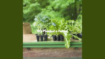 High Class Music for Thoughtful Vibes