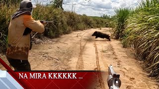 Cachaço veio pra cima , caçada ao javali ...