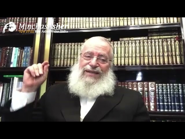 תלמוד תורה בתשעה באב וערב תשעה באב שחל להיות בשבת | שיעור שבועי מאת מרן הרב אשר וייס שליט"א
