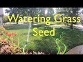 Watering new grass | Fall Rehab Step 4