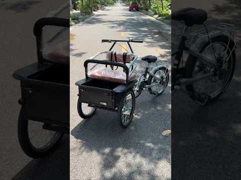 Xích lô chở trẻ em Smart X2