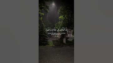 ان المتقين في جناتٍ وعيون | القارئ هزاع البلوشي