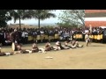 thobile school zulu dance