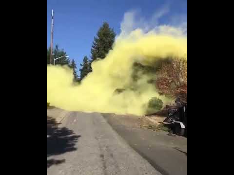 cutting down the tree that produces excessive pollen (tree spirit ...