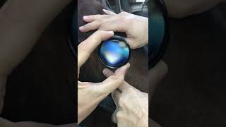 Inside of a horse’s eye. #ophthalmology #shortvideo #pet #horse #veterinary #riding #horseriding