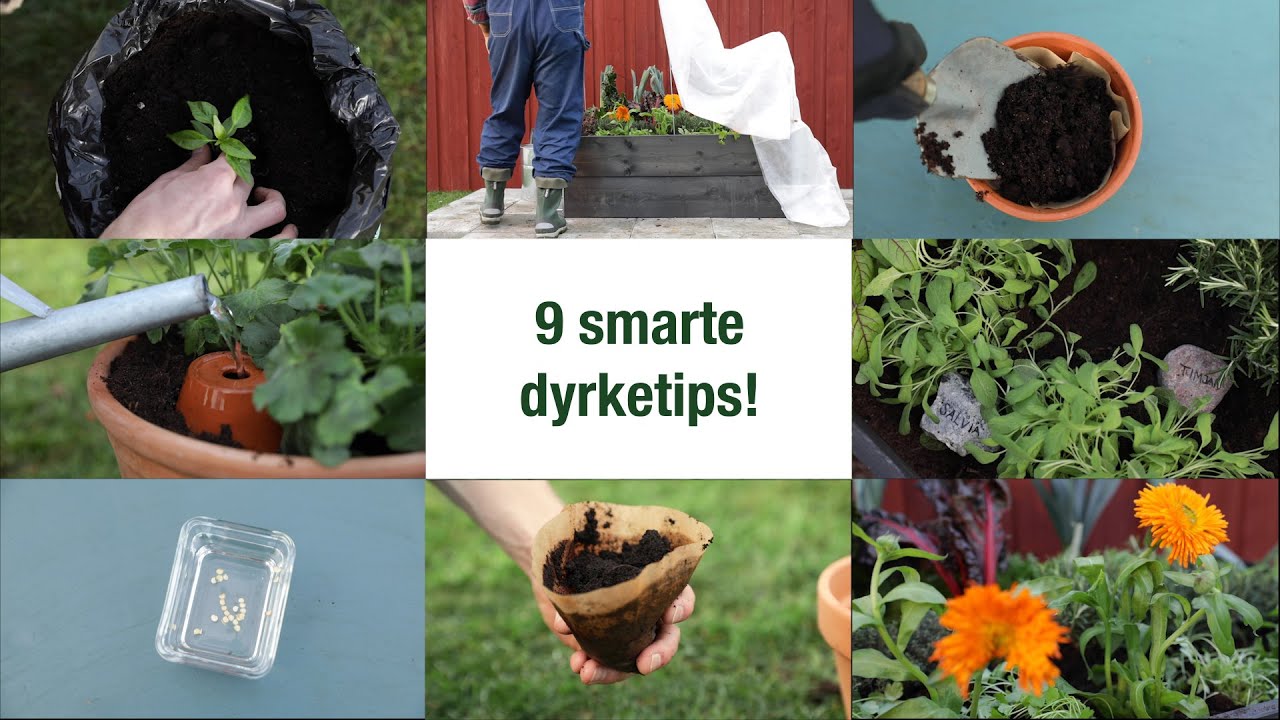 9 smarte dyrketips