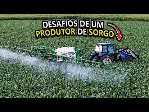 MAL SABIA NESSE VÍDEO QUE IRIA PERDER ESSA ÁREA 😢