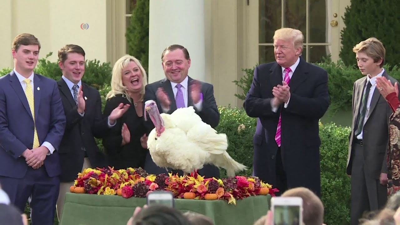 Трамп помиловал индеек