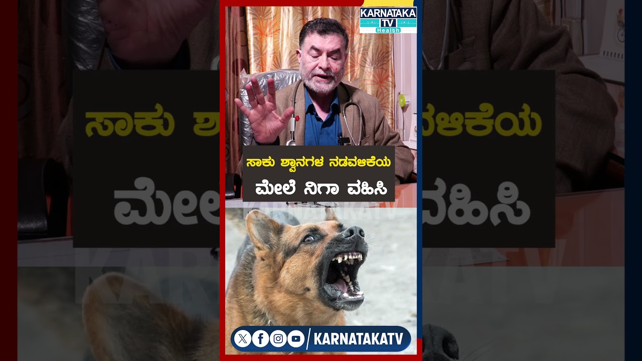 Be Careful About Dog Bite | Dog Lovers | #shorts #short | Karnataka TV Health