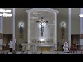 St. Francis of Assisi: Holy Mass (Monday, April 20th, 8am)