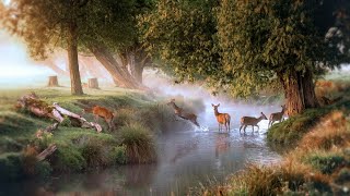 Ethereal Dawn by the River 🌅 Soft Piano Music to Heal Your Soul & Escape Reality screenshot 4