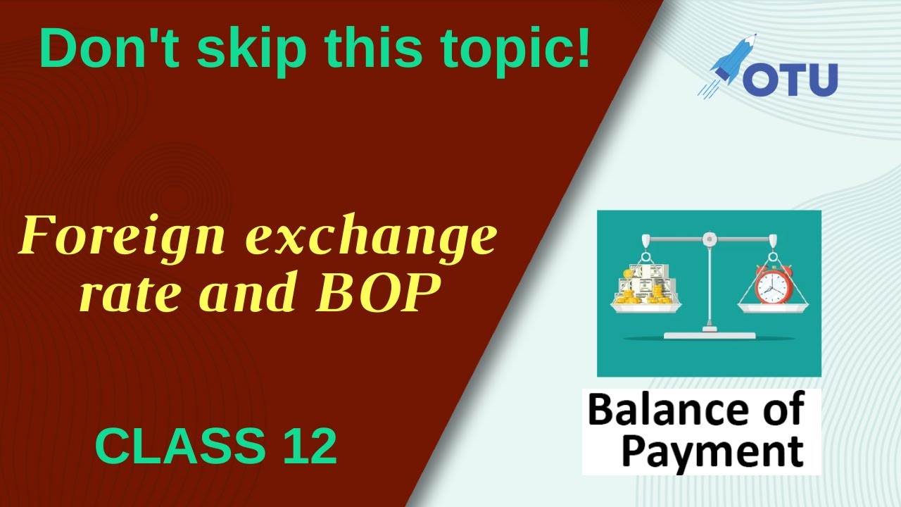 Economics - Foreign exchange rate and Balance of Payment - YouTube