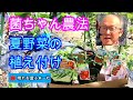菌ちゃん農法♪夏野菜の植付け2025