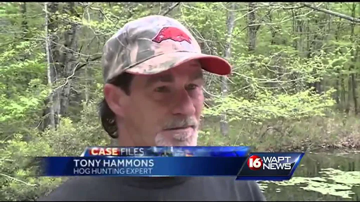 Case Files:  Wild Hogs