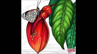 Animasi gambar Kupu-kupu #shorts #hewan #animals #kupukupu #butterfly #animation #happycolor
