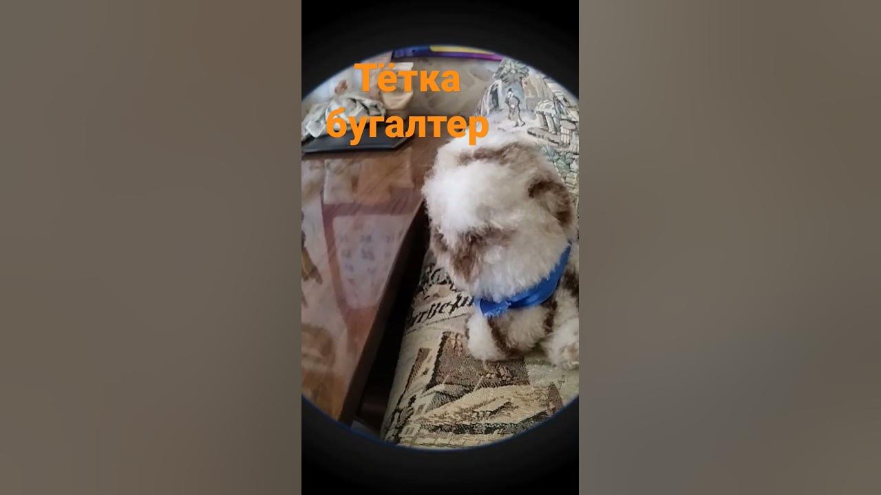 бугалтерша - YouTube