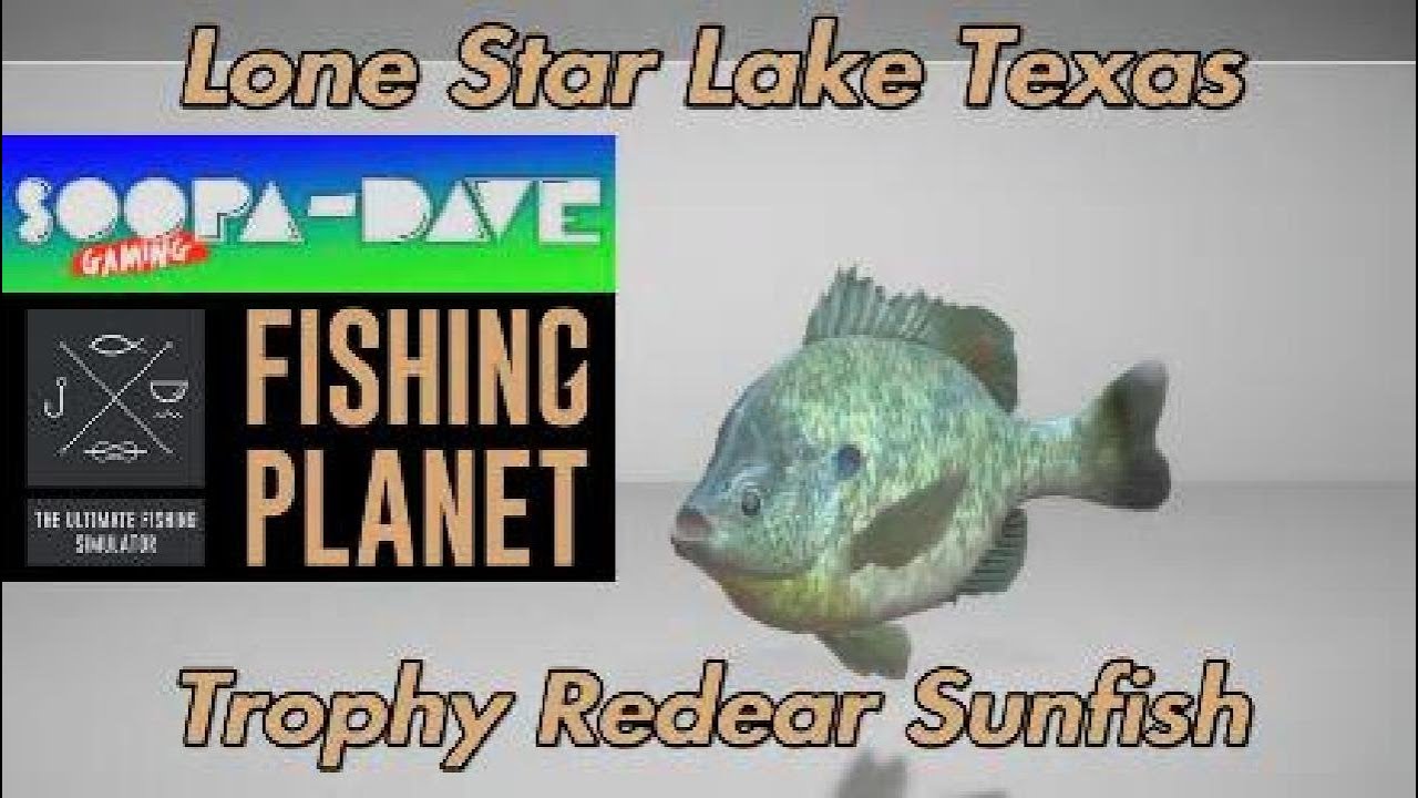 Trophy Redear Sunfish Lone Star Lake Texas Fishing Planet YouTube