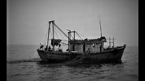 Biển Đông Nổi Giận - Nguyễn Thị Thanh Dương - Nguyễn Văn Thành - An Minh