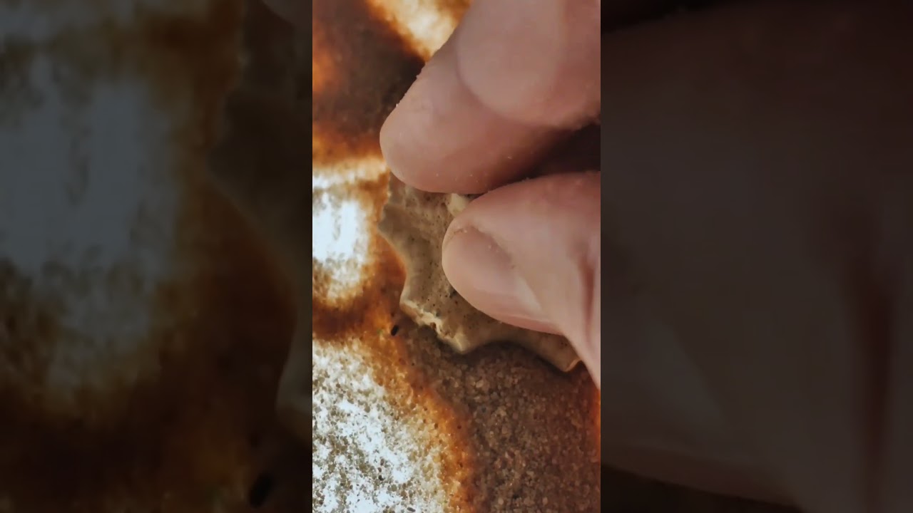 Scheherazade. Sand animation by Katerina Barsukova. 