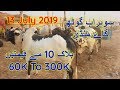 Karachi Sohrab Goth Cow Mandi Price Update 13 July 2019 Block 10