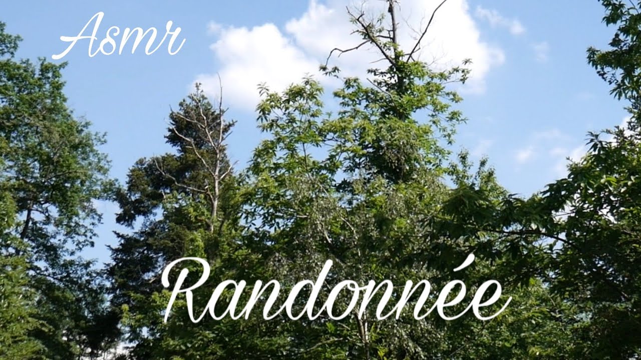Asmr 🎙️ Nature 🌲 En randonnée avec moi 🌲 Marche - Sons de la nature