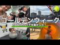 【GW VLOG】アクティブなゴールデンウィークを家族で過ごした。【ピックルボール】