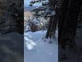 First tracks in Doc Dempsey's glades #skiing #firsttrack #powder #fun #smugglersnotch