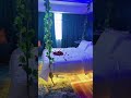 #Nicebedroom# forthissong#