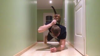 Mystic The Bengal - How to plank with your cat