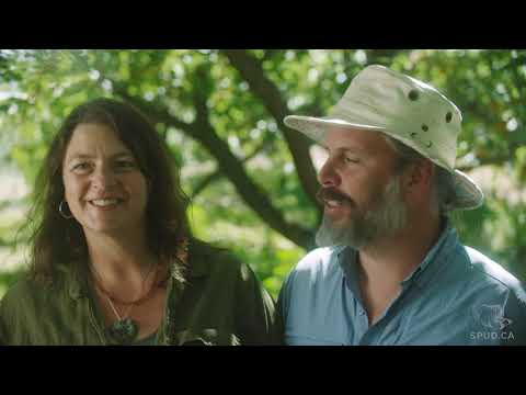 SPUD.ca visits Blush Lane Orchard
