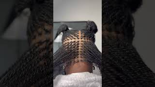 Micro twists install #microlocinstall #locs #microlocs #microtwist #naturalhair #microlocmastery
