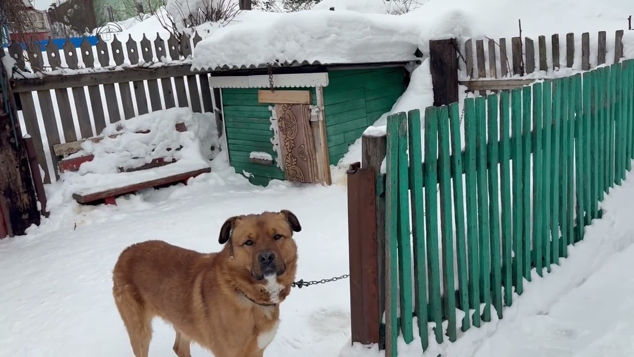 Куда я пропала ☺️☺️☺️