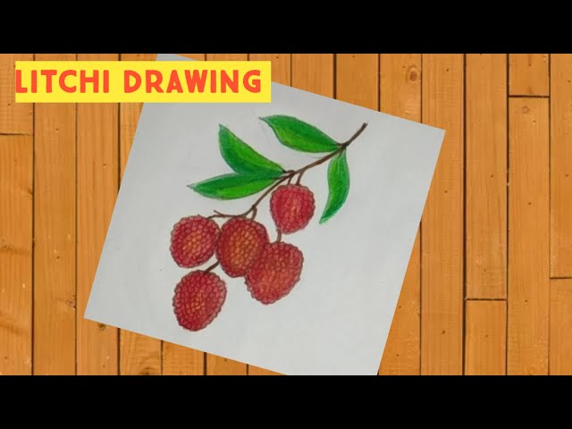 Litchi Sketch Vector PNG, Vector, PSD, and Clipart With Transparent  Background for Free Download | Pngtree